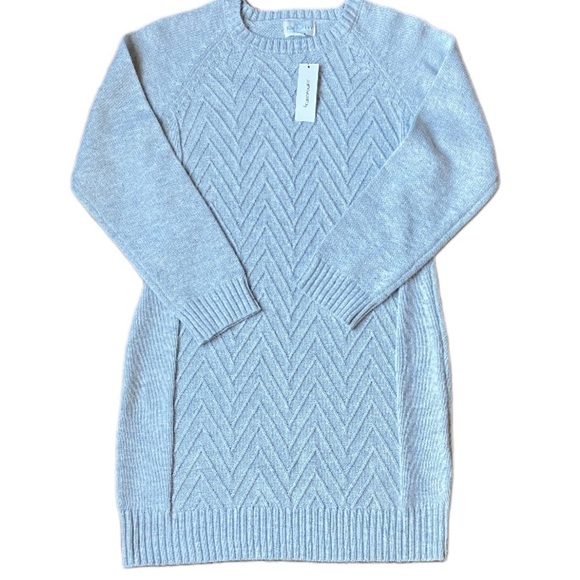 Francesca's Collections Dresses & Skirts - NWT Francesca’s Collection Jun & Ivy Women’s Gray Knit Sweater Dress Size M